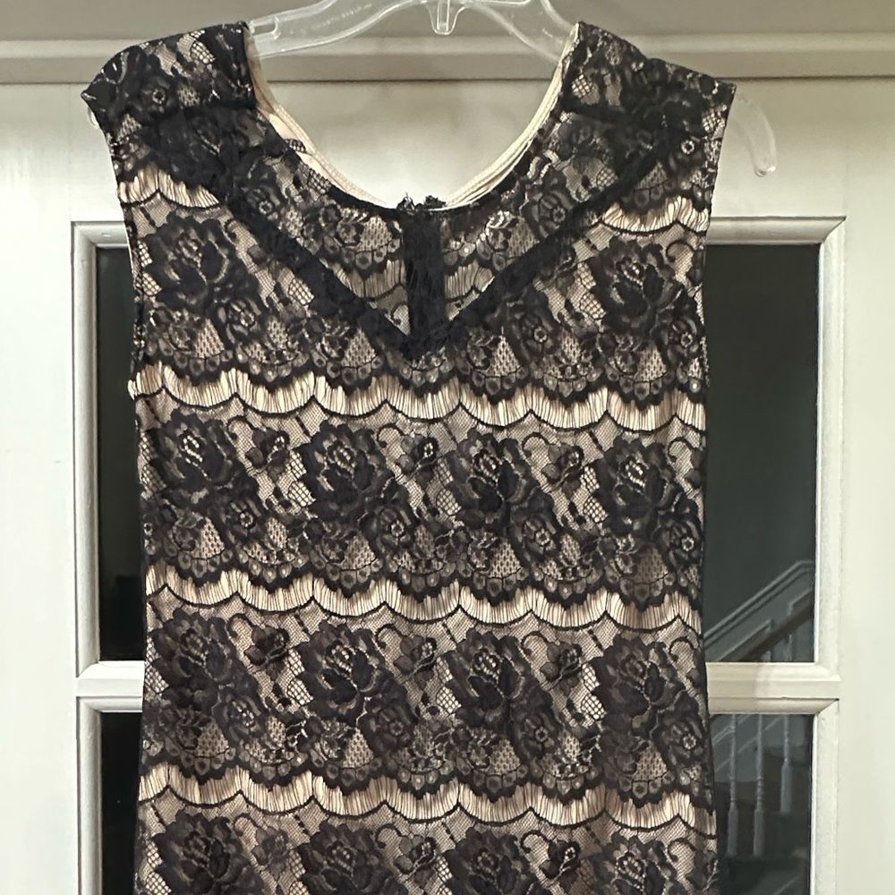 Fruity Fashion Black Lace Sleeveless Dress